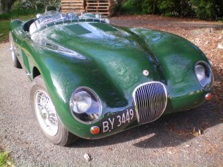 Proteus Jaguar